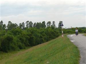 Hoàn thành thi công công trình xây dựng đường hành lang chân đê tả sông Luộc đoạn K7 +694 đến K8 +310